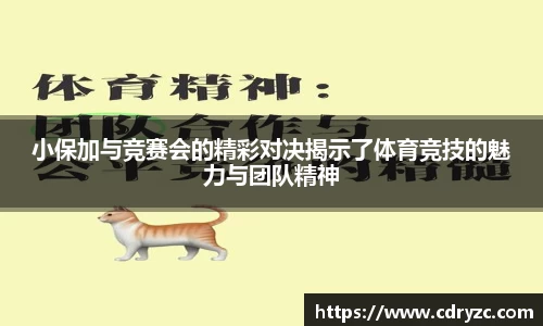 小保加与竞赛会的精彩对决揭示了体育竞技的魅力与团队精神
